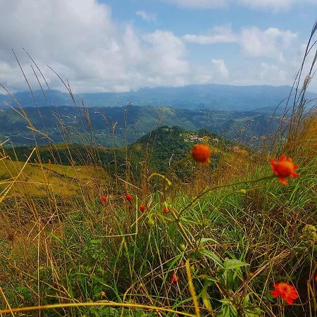 Апартаменты Tower Studio In The Treetops In Altos Del Maria Panama El Picacho Экстерьер фото