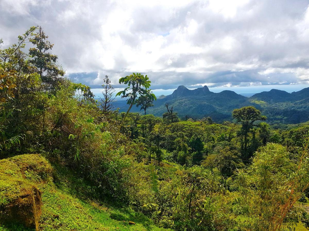 Апартаменты Tower Studio In The Treetops In Altos Del Maria Panama El Picacho Экстерьер фото