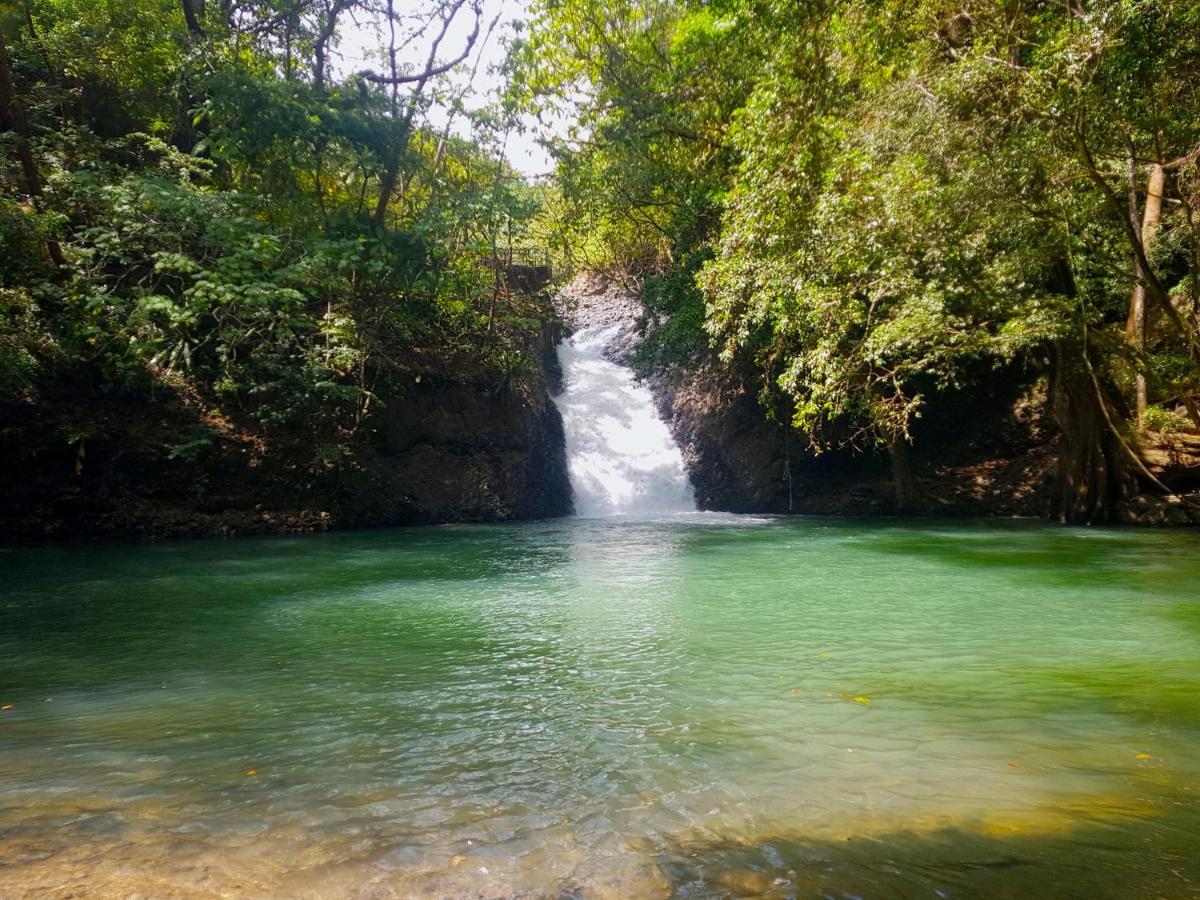 Апартаменты Tower Studio In The Treetops In Altos Del Maria Panama El Picacho Экстерьер фото