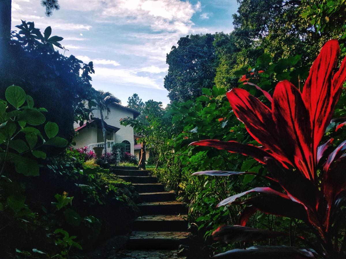 Апартаменты Tower Studio In The Treetops In Altos Del Maria Panama El Picacho Экстерьер фото