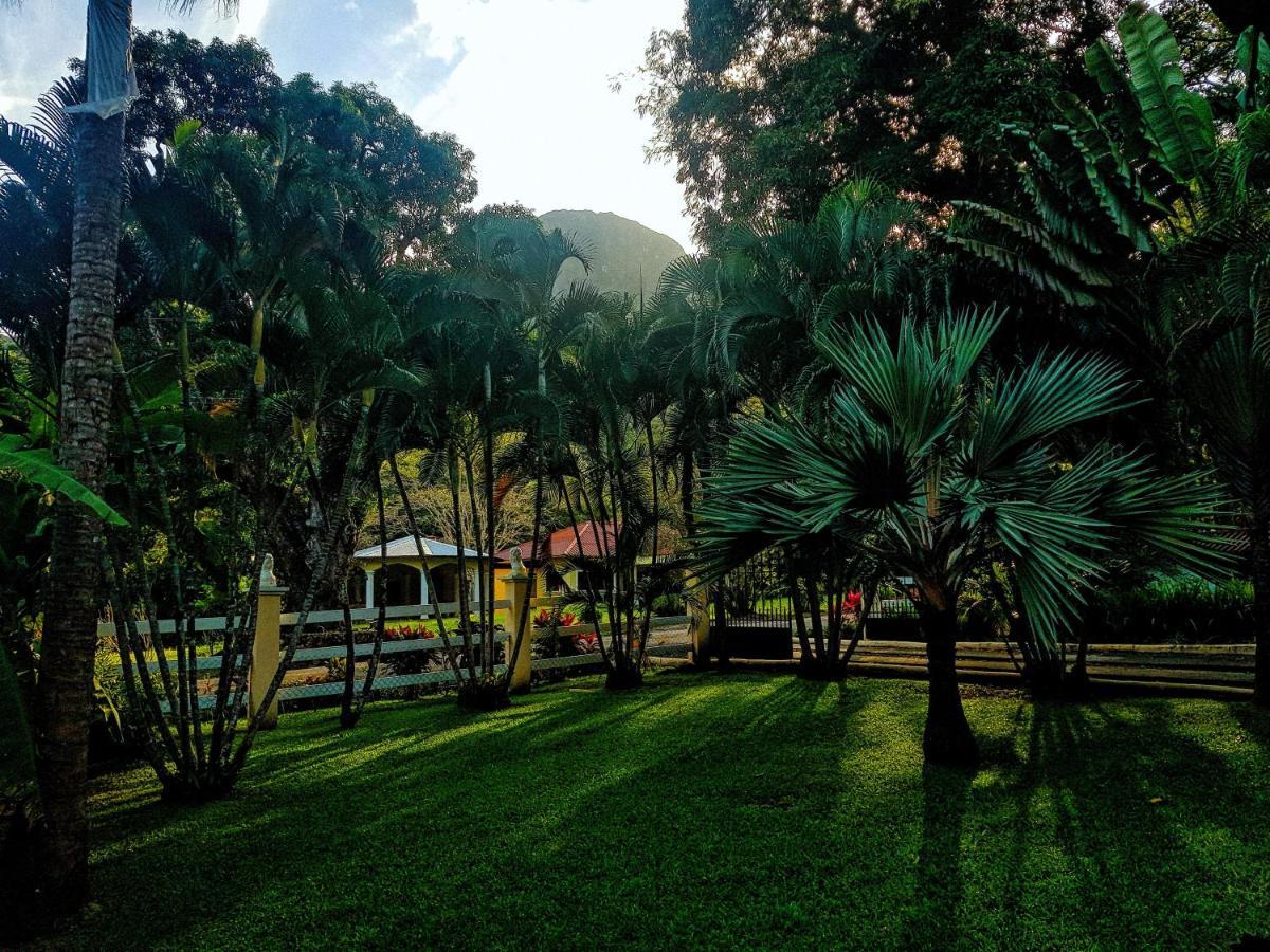 Апартаменты Tower Studio In The Treetops In Altos Del Maria Panama El Picacho Экстерьер фото